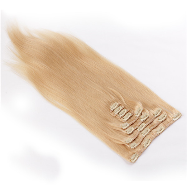 Best Quality Clip In Human Hair ExtensionsWJ065